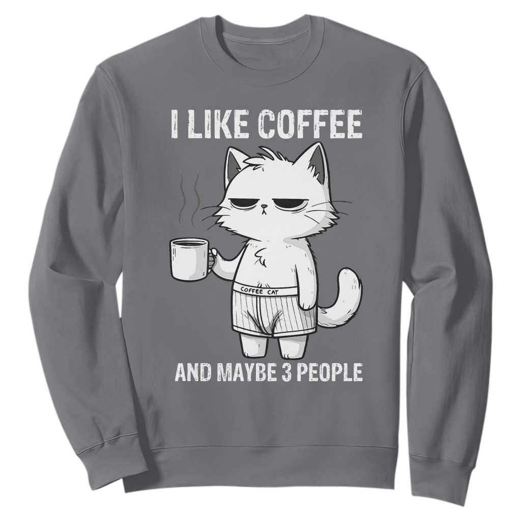 I Like Coffee And Maybe Three People Sweatshirt Funny Cat Coffee Lover TS14 Charcoal Print Your Wear