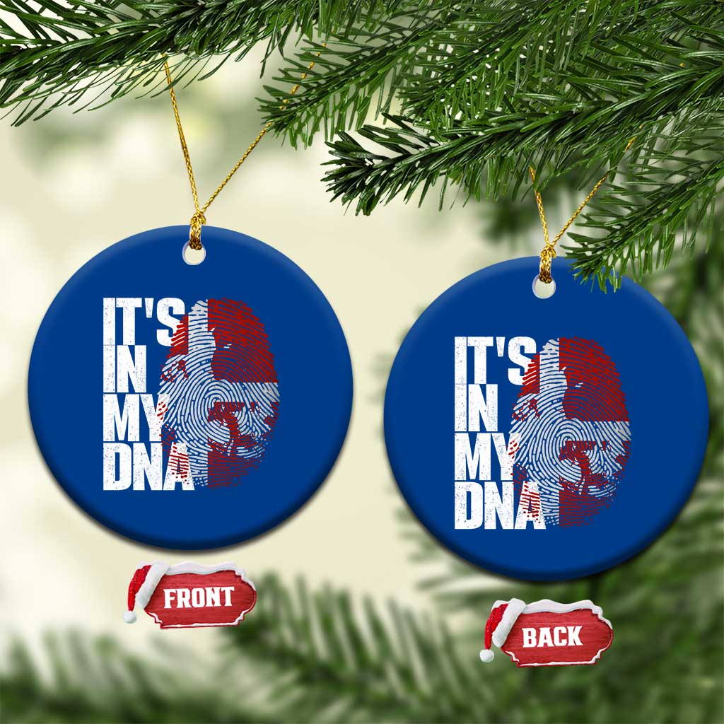 It's in My DNA Ceramic Ornament Denmark Map Flag Danish Gift TS14 1pc Blue Print Your Wear