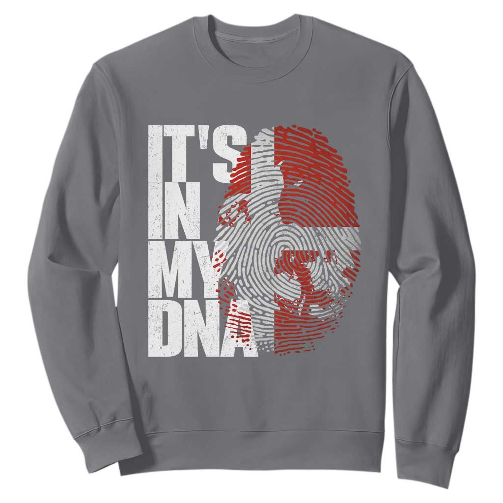 It's in My DNA Sweatshirt Denmark Map Flag Danish Gift TS14 Charcoal Print Your Wear