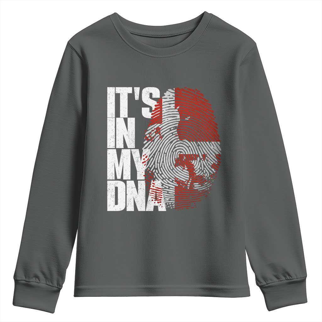 It's in My DNA Youth Sweatshirt Denmark Map Flag Danish Gift TS14 Dark Heather Print Your Wear