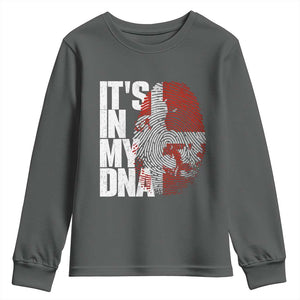 It's in My DNA Youth Sweatshirt Denmark Map Flag Danish Gift TS14 Dark Heather Print Your Wear