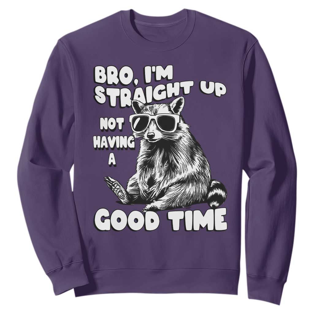 Funny Raccon Sarcastic Sweatshirt Bro I Am Straight Up Not Even Having A Good Time TS14 Purple Print Your Wear