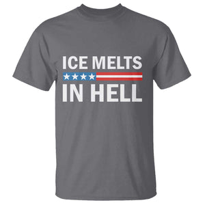 Ice Melts In Hell T Shirt Activist Statement Quote TS14 Charcoal Print Your Wear