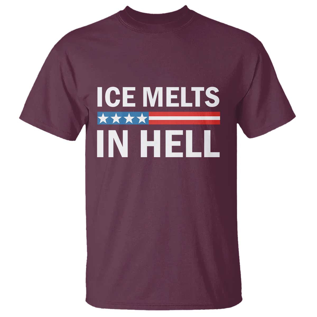 Ice Melts In Hell T Shirt Activist Statement Quote TS14 Maroon Print Your Wear