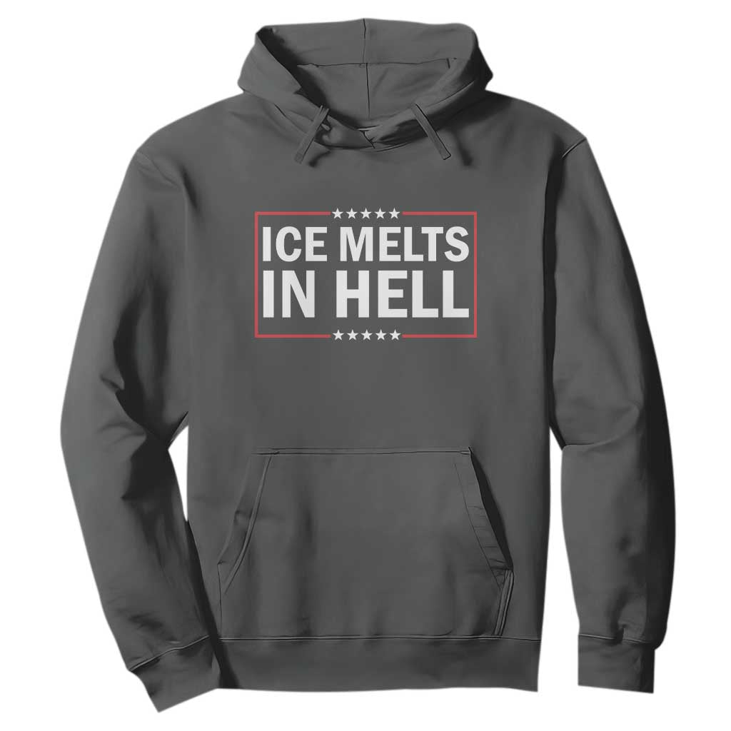 Ice Melts In Hell Hoodie Immigrant Rights Activist Statement Protest Quote TS14 Dark Heather Print Your Wear