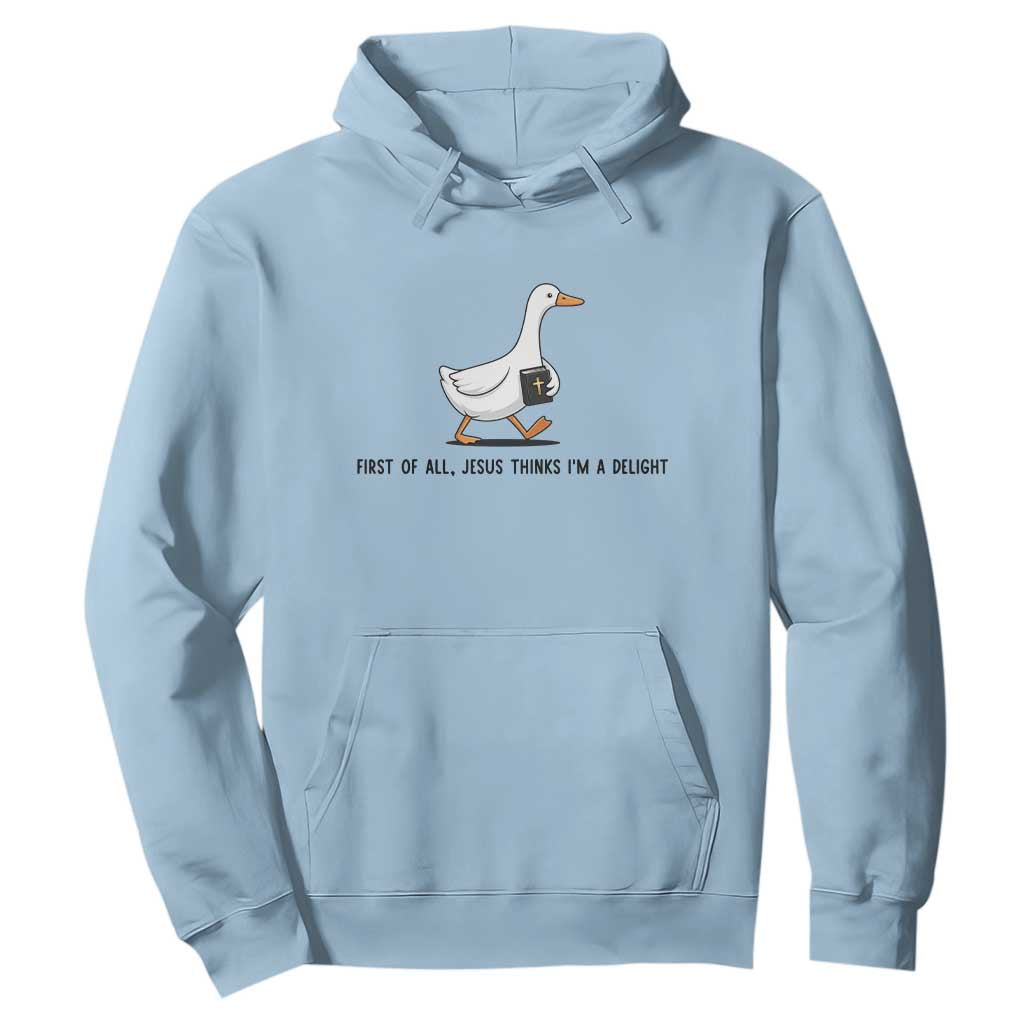Funny Christian Goose Hoodie Jesus Thinks I'm A Delight TS14 Light Blue Print Your Wear