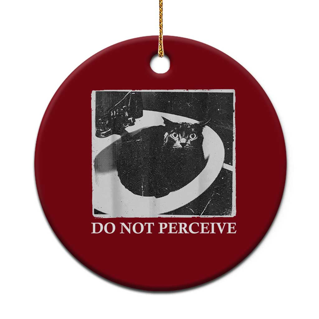 Do Not Perceive Me Funny Meme Cat Lover Ceramic Ornament Funny Cat Sarcstic Meme TS14 1pc Red Print Your Wear