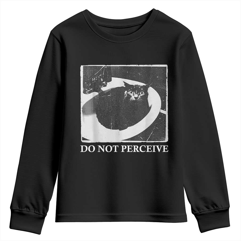Do Not Perceive Me Funny Meme Cat Lover Youth Sweatshirt Funny Cat Sarcstic Meme TS14 Black Print Your Wear