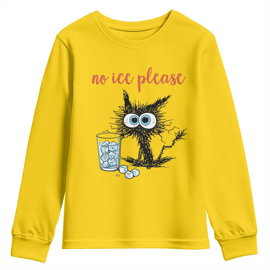 No Ice Please Youth Sweatshirt Funny Black Cat Sarcastic Abolish ICE Meme TS14 Daisy Print Your Wear