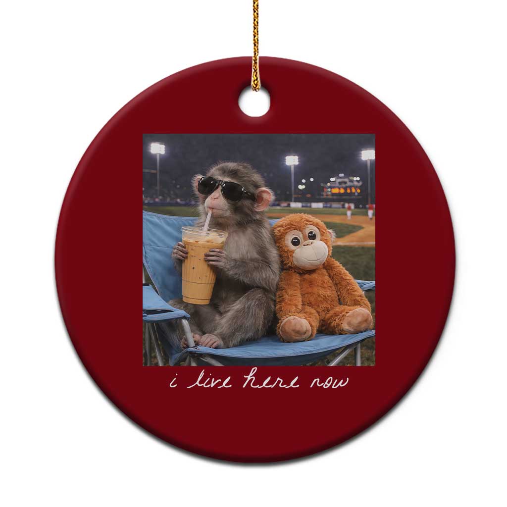 Funny Punch Monkey Baseball Ceramic Ornament I Live Here Now Ballpark Graphic TS14 1pc Red Print Your Wear