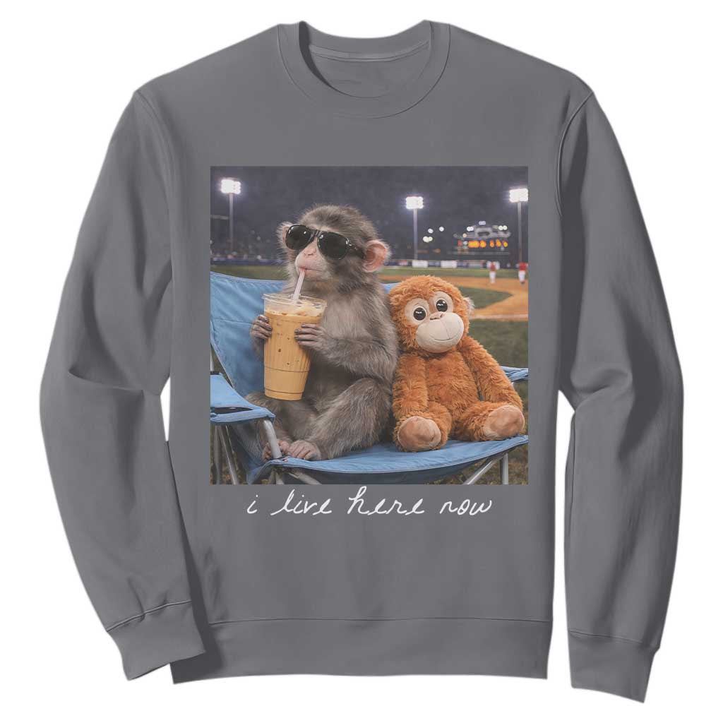 Funny Punch Monkey Baseball Sweatshirt I Live Here Now Ballpark Graphic TS14 Charcoal Print Your Wear