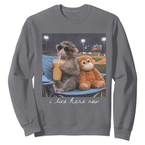 Funny Punch Monkey Baseball Sweatshirt I Live Here Now Ballpark Graphic TS14 Charcoal Print Your Wear