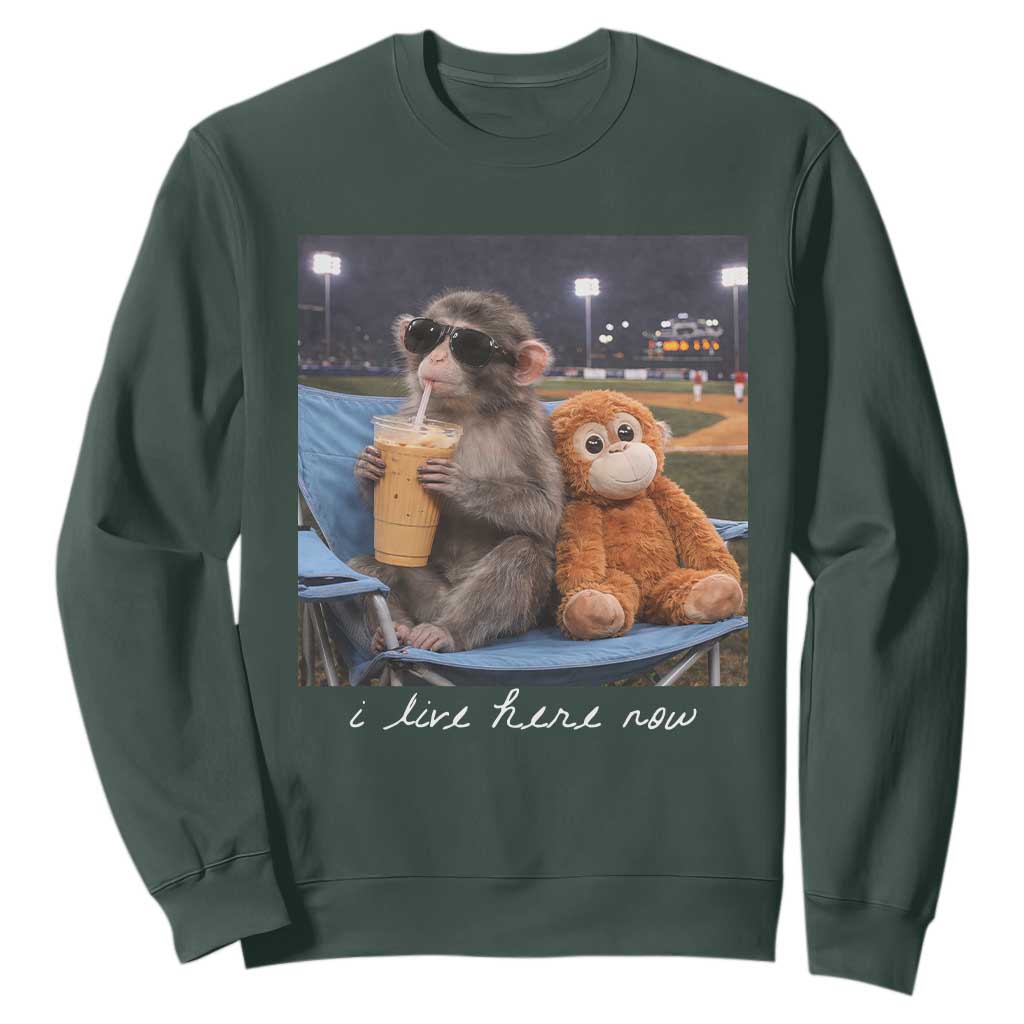 Funny Punch Monkey Baseball Sweatshirt I Live Here Now Ballpark Graphic TS14 Dark Forest Green Print Your Wear