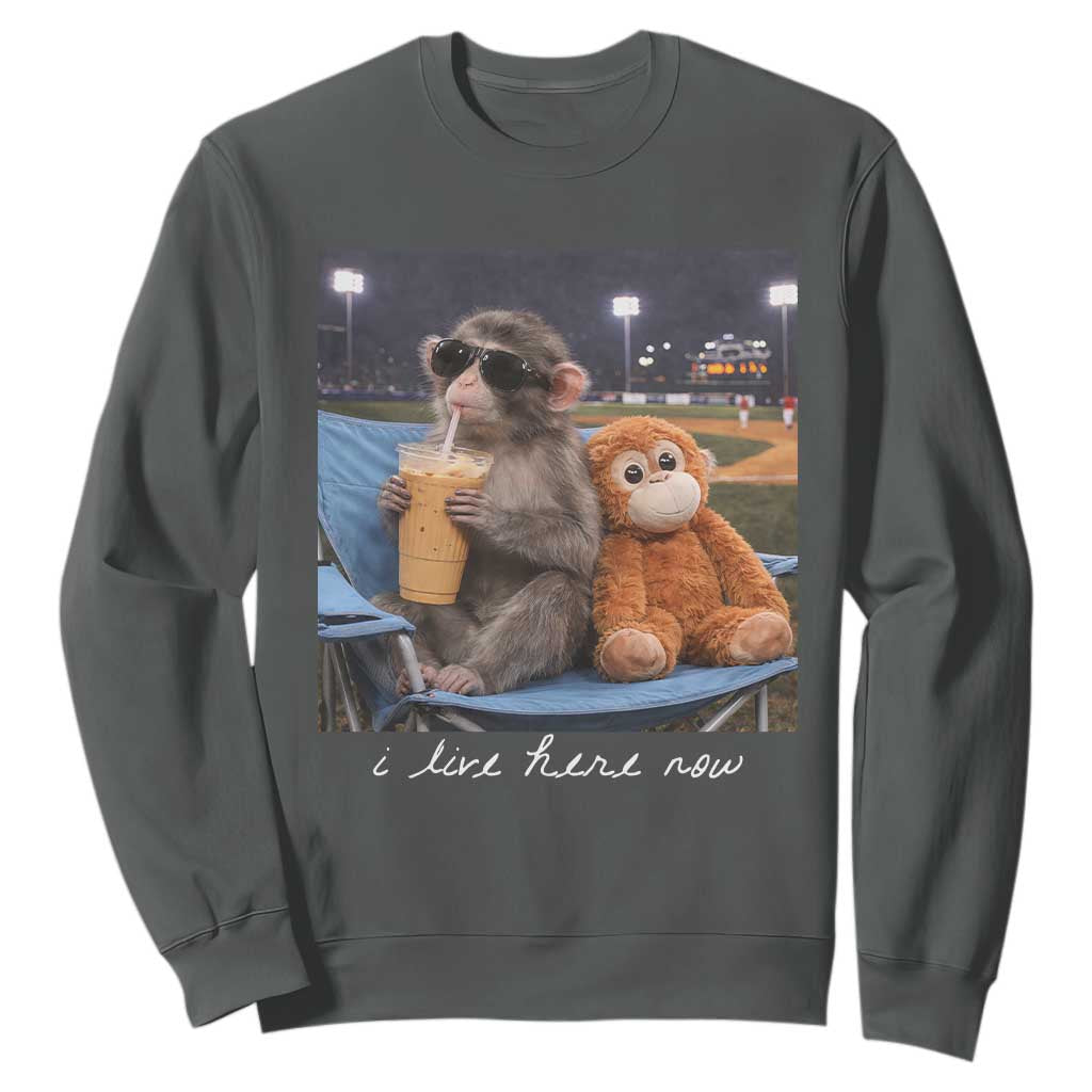 Funny Punch Monkey Baseball Sweatshirt I Live Here Now Ballpark Graphic TS14 Dark Heather Print Your Wear