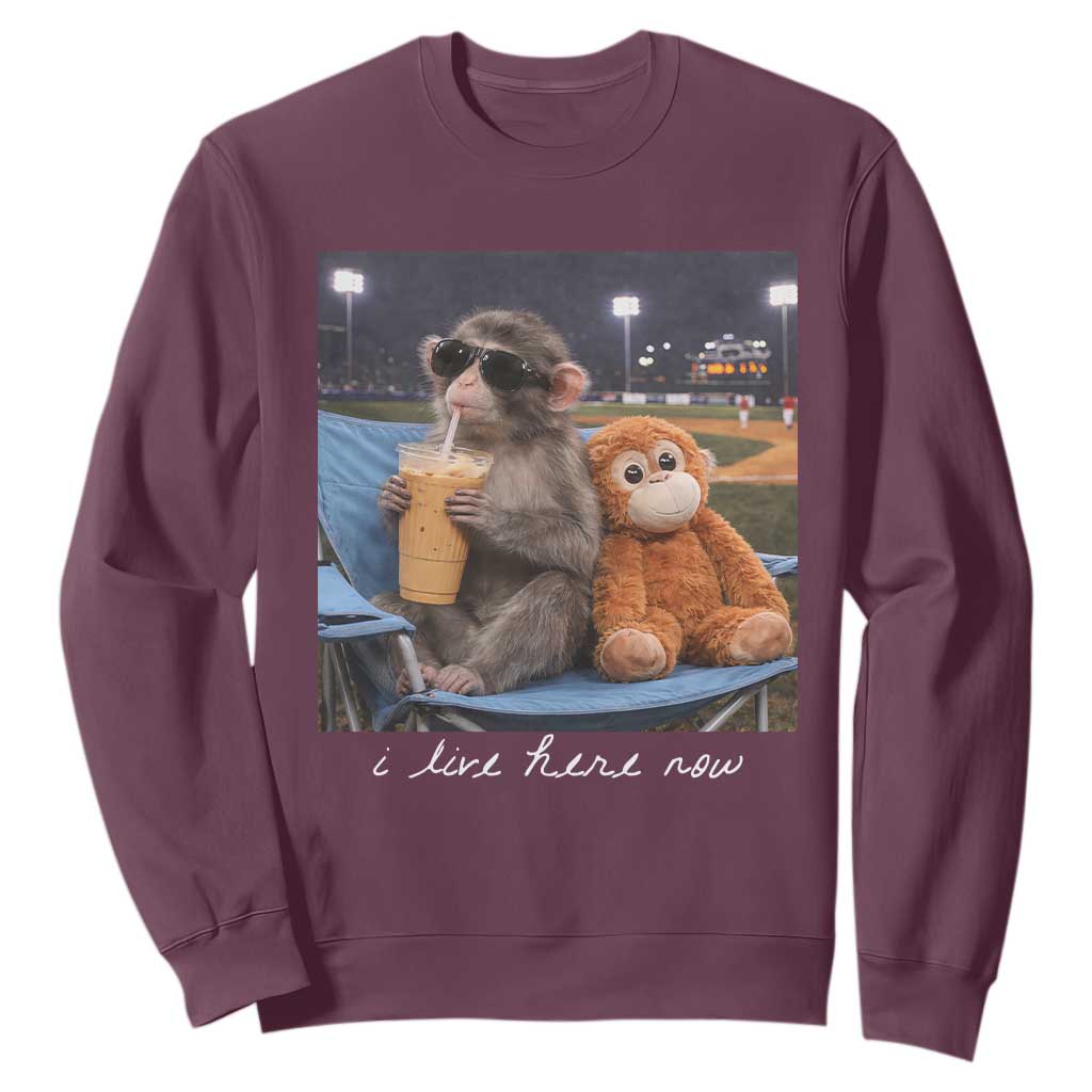 Funny Punch Monkey Baseball Sweatshirt I Live Here Now Ballpark Graphic TS14 Maroon Print Your Wear