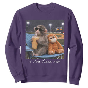 Funny Punch Monkey Baseball Sweatshirt I Live Here Now Ballpark Graphic TS14 Purple Print Your Wear