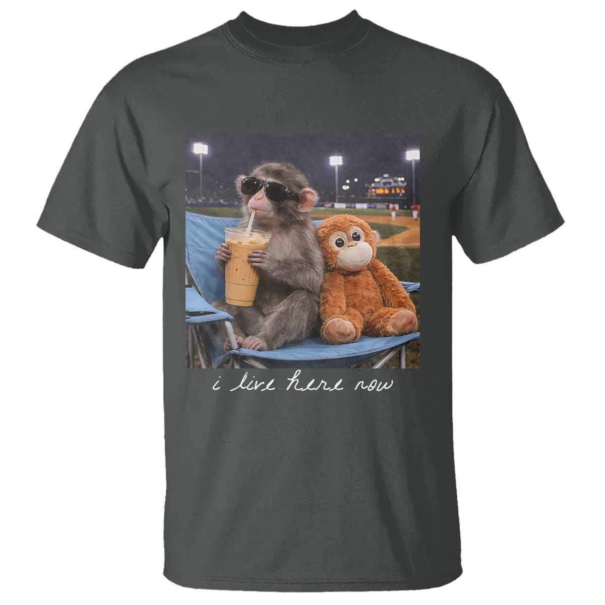 Funny Punch Monkey Baseball T Shirt I Live Here Now Ballpark Graphic TS14 Dark Heather Print Your Wear