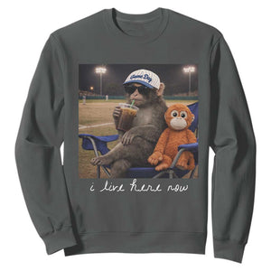 I Live Here Now Punch Monkey Sweatshirt Funny Drinking Iced Coffee Baseball Field TS14 Dark Heather Print Your Wear