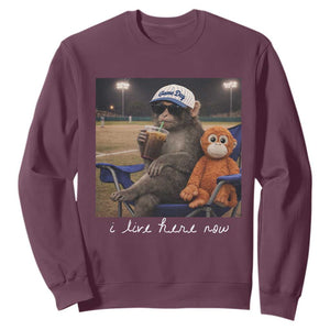 I Live Here Now Punch Monkey Sweatshirt Funny Drinking Iced Coffee Baseball Field TS14 Maroon Print Your Wear