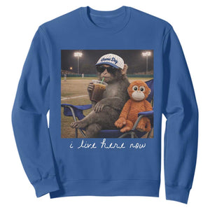 I Live Here Now Punch Monkey Sweatshirt Funny Drinking Iced Coffee Baseball Field TS14 Royal Blue Print Your Wear