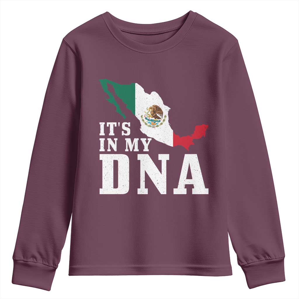It's in My DNA Mexican Proud Hispanic Gift Mexico Flag Youth Sweatshirt TS14 Maroon Print Your Wear