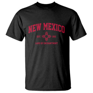 Vintage New Mexico Flag Zia Sun Souvenir T Shirt TS14 Black Print Your Wear