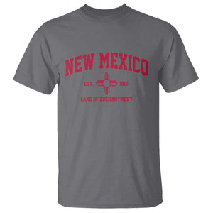 Vintage New Mexico Flag Zia Sun Souvenir T Shirt TS14 Charcoal Print Your Wear
