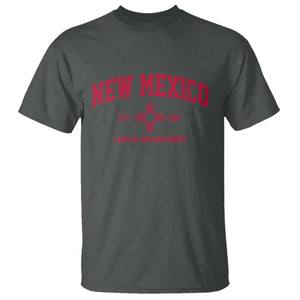 Vintage New Mexico Flag Zia Sun Souvenir T Shirt TS14 Dark Heather Print Your Wear