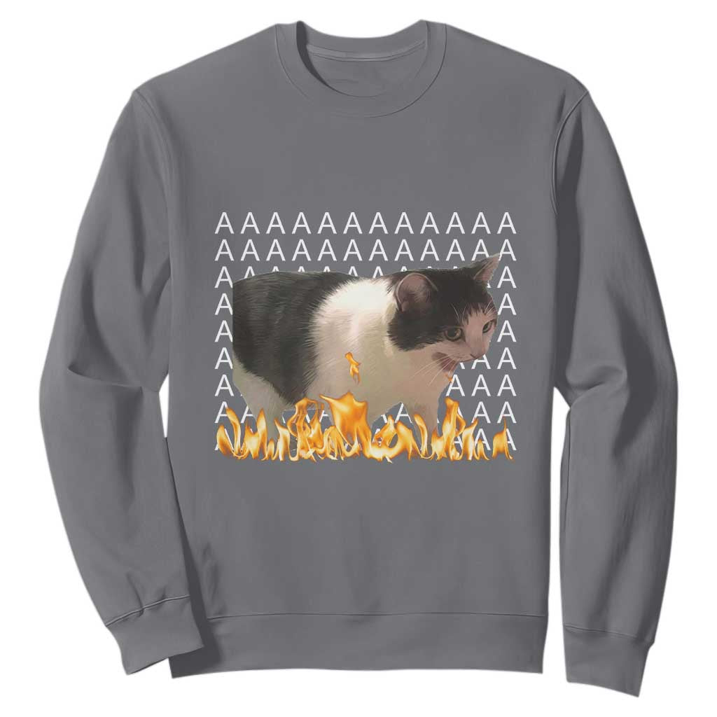 Screaming Cat Meme Sweatshirt Funny Internet Gen Z Cat Lover TS14 Charcoal Print Your Wear