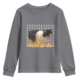 Screaming Cat Meme Youth Sweatshirt Funny Internet Gen Z Cat Lover TS14 Charcoal Print Your Wear