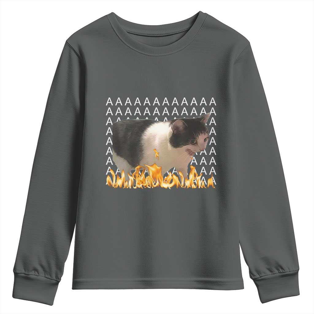 Screaming Cat Meme Youth Sweatshirt Funny Internet Gen Z Cat Lover TS14 Dark Heather Print Your Wear