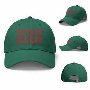 Usually You Not Stupid Why Stupid Question Baseball Cap Funny Space Quote Sci Fi Book TS14 Baseball Cap Universal Fit Irish Green Print Your Wear