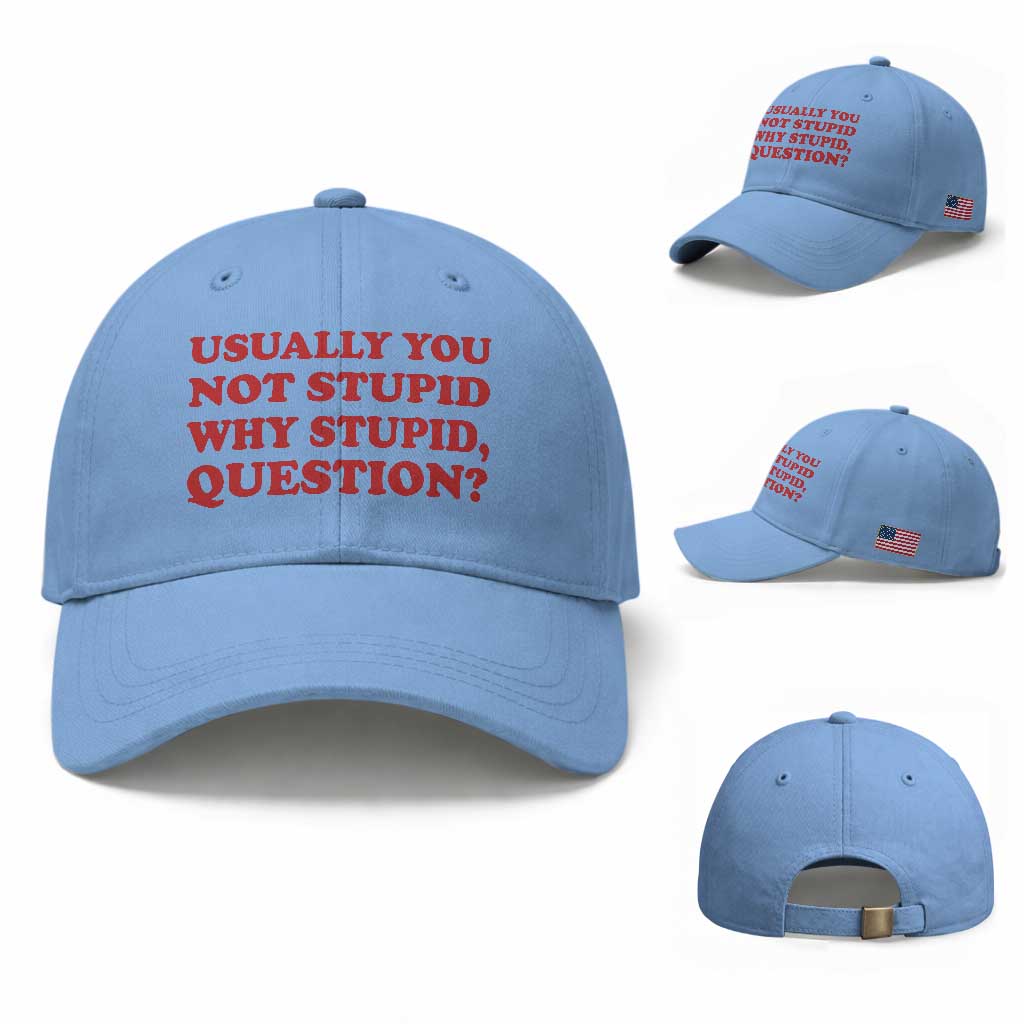 Usually You Not Stupid Why Stupid Question Baseball Cap Funny Space Quote Sci Fi Book TS14 Baseball Cap Universal Fit Light Blue Print Your Wear