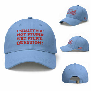 Usually You Not Stupid Why Stupid Question Baseball Cap Funny Space Quote Sci Fi Book TS14 Baseball Cap Universal Fit Light Blue Print Your Wear